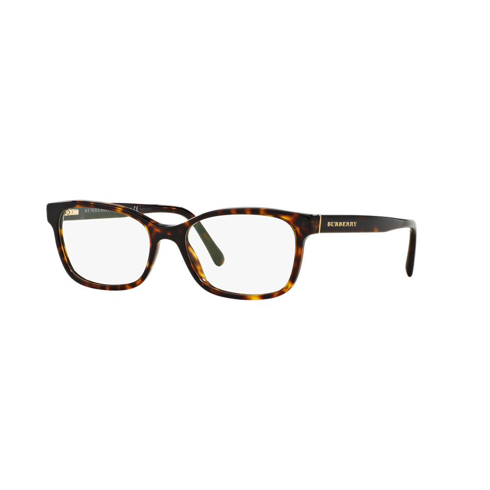 Burberry eyewear BE2201 col. 3002