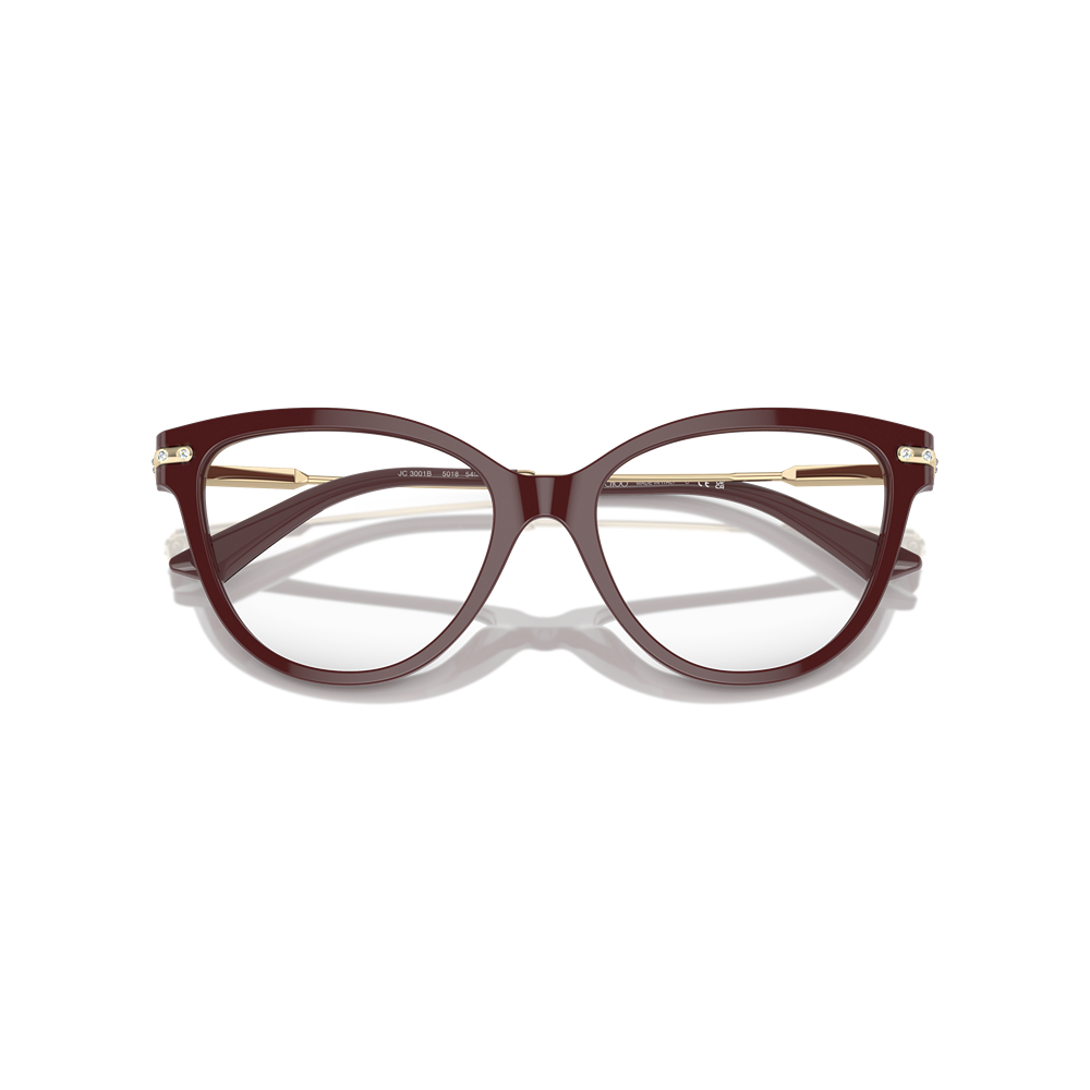 Jimmy Choo eyewear 3001B col. 5018