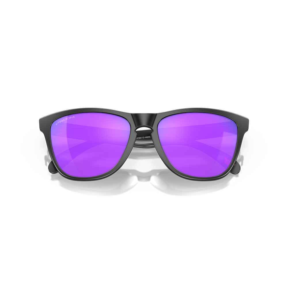 Occhiale da sole Oakley Frogskins OO9013 col. 9013H6