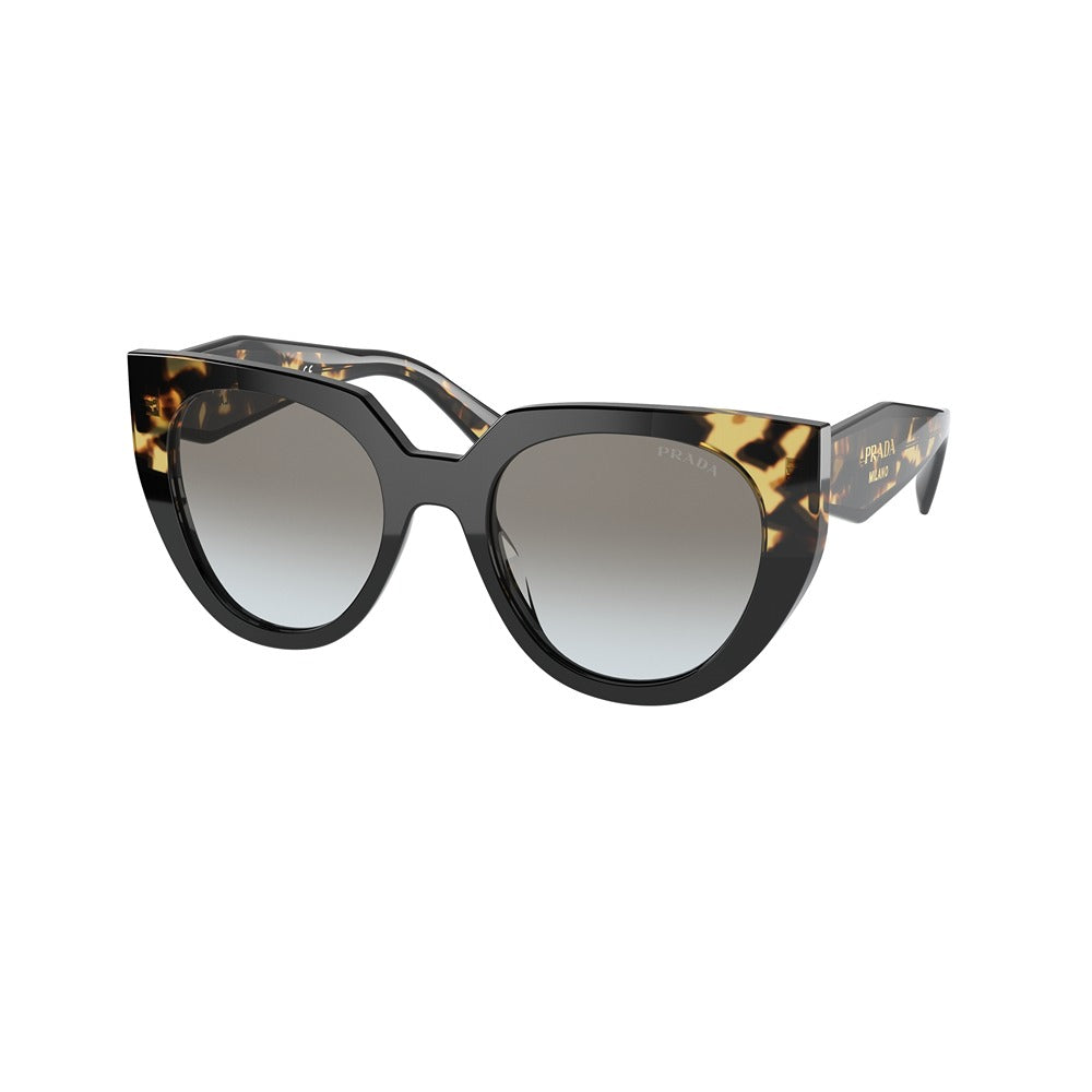 Prada sunglasses PR 14WS col. 3890A7