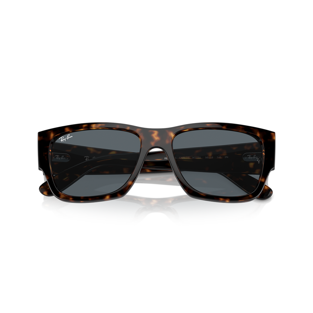 Ray-Ban sunglasses Carlos RB0947S col. 902/R5