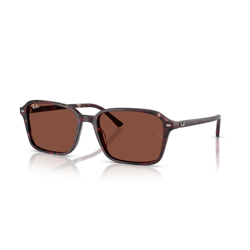 Occhiale da sole Ray-Ban 2231 Raimond col. 1416C5