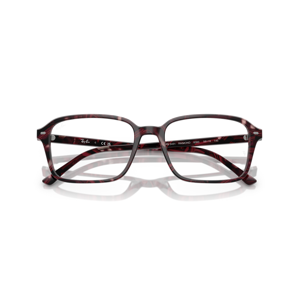 Ray-Ban eyewear 5431 Raimond col. 8393