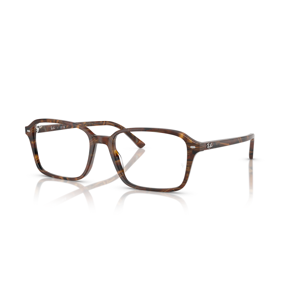 Ray-Ban eyewear 5431 Raimond col. 8395