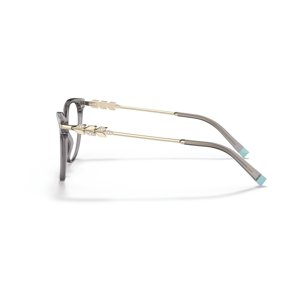 Tiffany & co. eyewear 2220B col. 8270