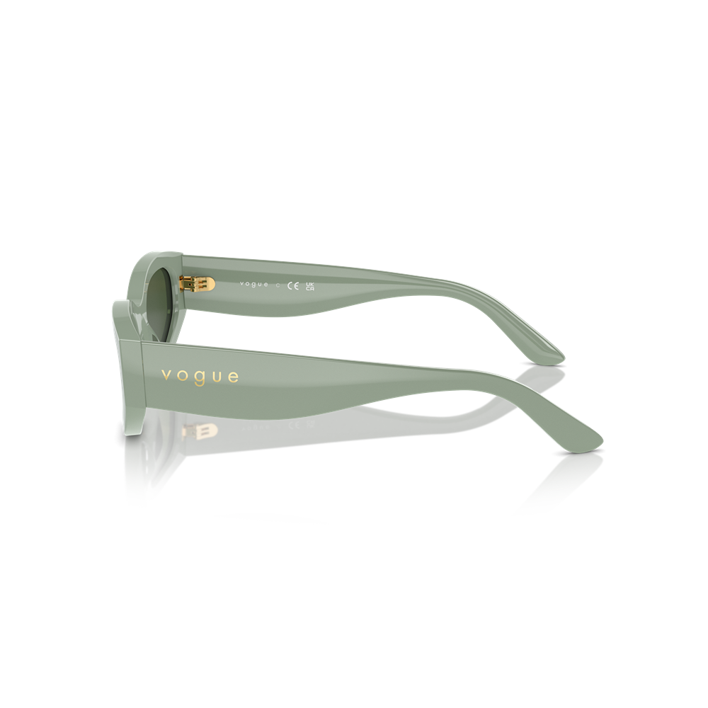 Vogue sunglasses 5585S col. 316171