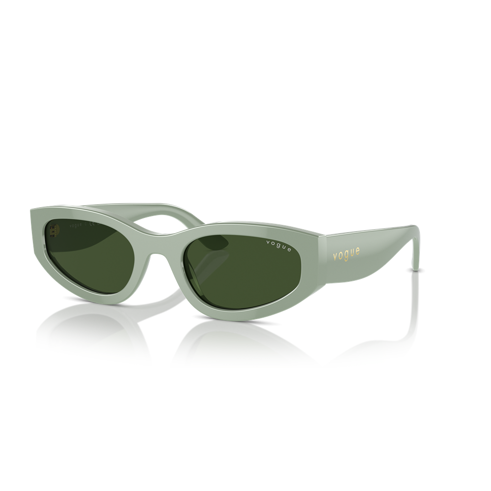 Vogue sunglasses 5585S col. 316171