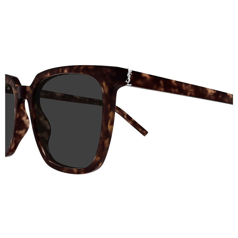 Occhiale da sole Saint Laurent SL M146 col. 002 havana havana grey