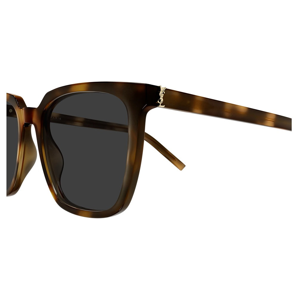 Occhiale da vista Saint Laurent SL M146 OPT col. 003 havana havana transparent