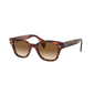 Ray-Ban sunglasses RB0880S col. 954/51