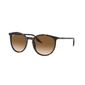 Ray-Ban sunglasses RB2204 col. 902/51