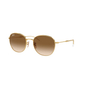 Ray-Ban sunglasses RB3809 col. 001/51