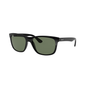 Ray-Ban sunglasses RB4181 col. 601