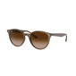 Ray-Ban sunglasses RB4305 col. 616613