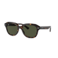 Ray-Ban sunglasses Erik RB4398 col. 902/31